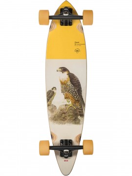 DECKS Globe cruiser Pintail Falcon 34"