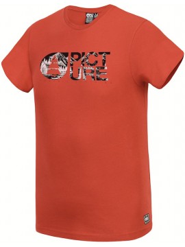 TSHIRTS Picture Basement Park burnt orange
