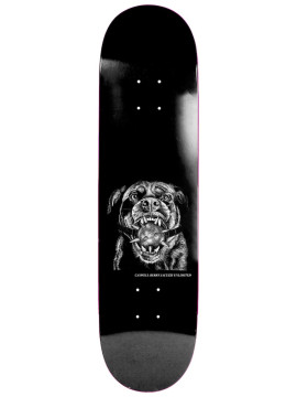 DECKS Jacuzzi Caswell Berry Dominance (Grip compris)
