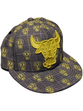 CASQUETTES   Volcom Fa Ben grey gold